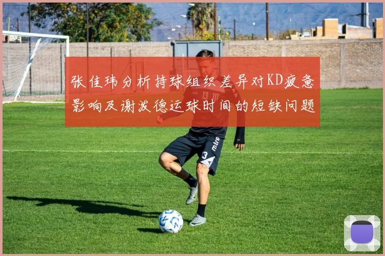 张佳玮分析持球组织差异对KD疲惫影响及谢泼德运球时间的短缺问题