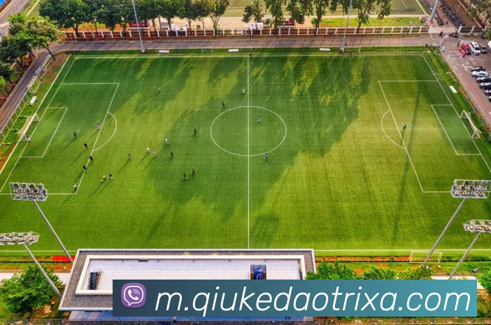 球客岛平台生态图